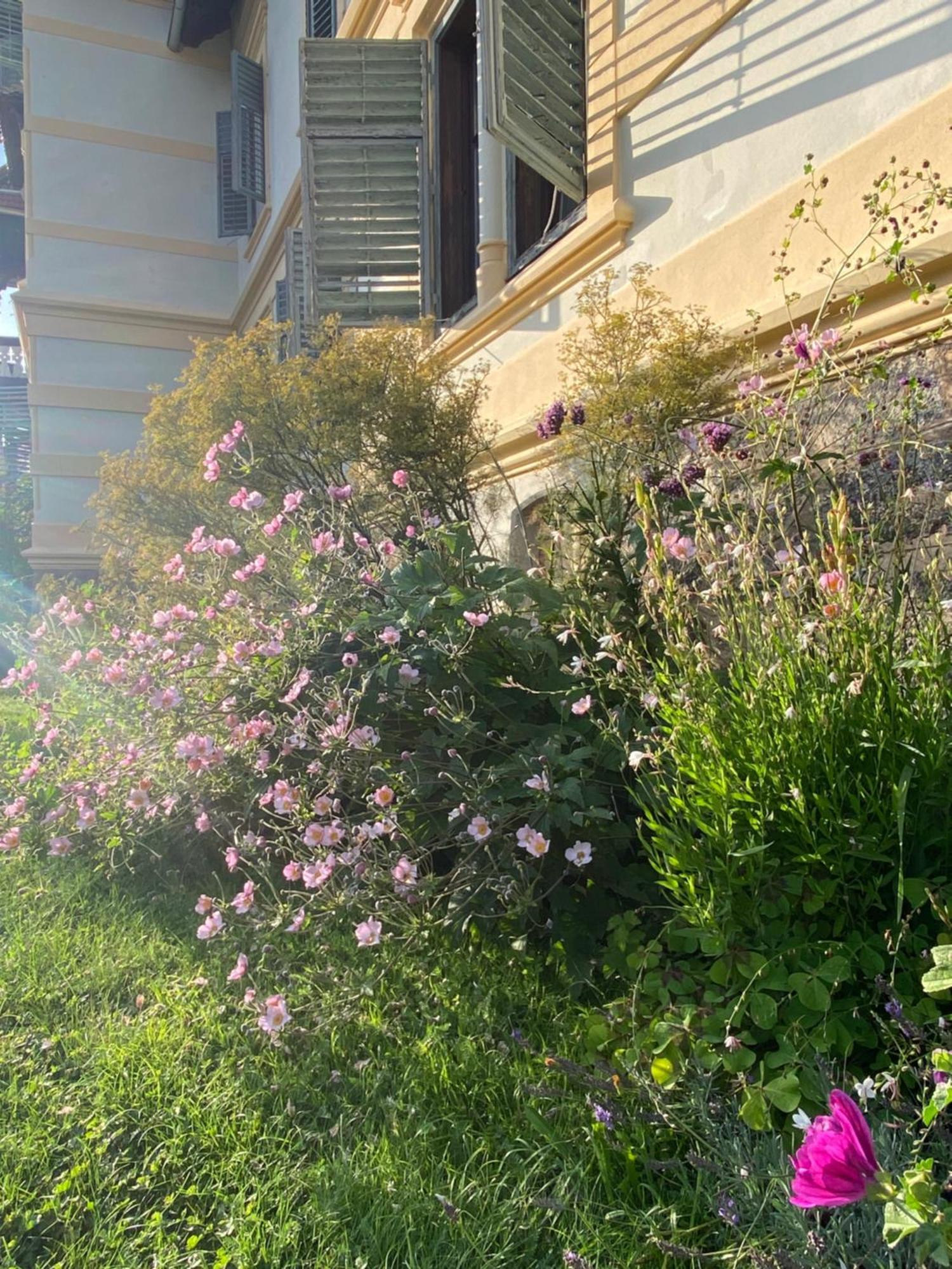 Villa Streintz Millstatt Bagian luar foto